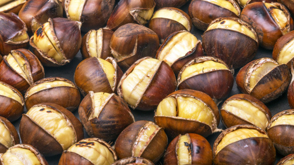 Günde 3 tane kestane yerseniz...