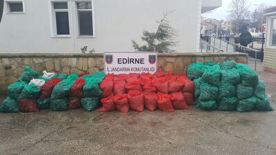Edirne'de 'midye' operasyonu