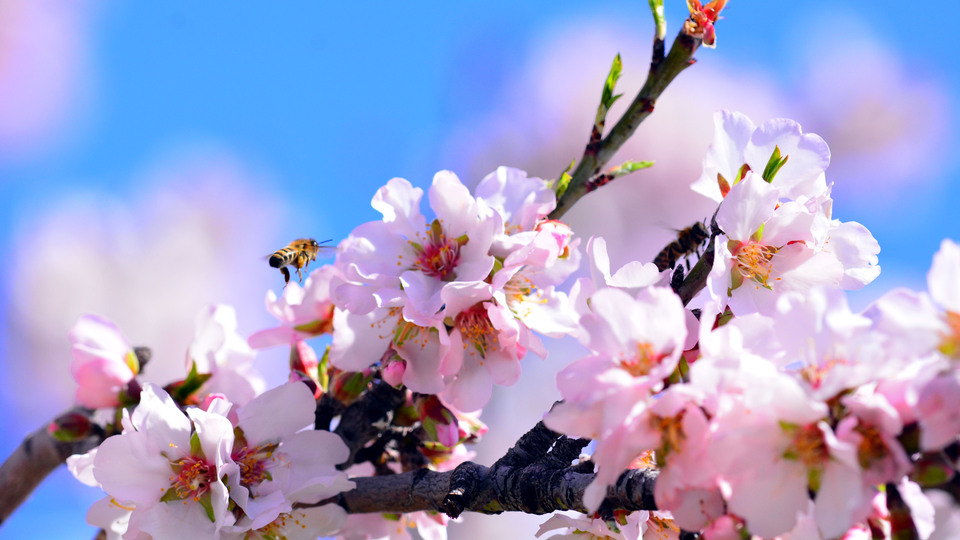 Bize hava güzel ama...