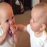 İkiz bebekler bakın ne için mücadele ediyor...