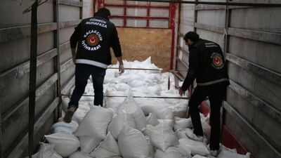 Türkiye'ye 11 tır kaçak ceviz ve fıstık getirildi