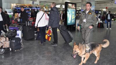 Havalimanı'nda K-9 köpekleri bomba izi sürüyor!