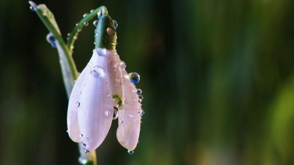 Cemre ne zaman düşer?
