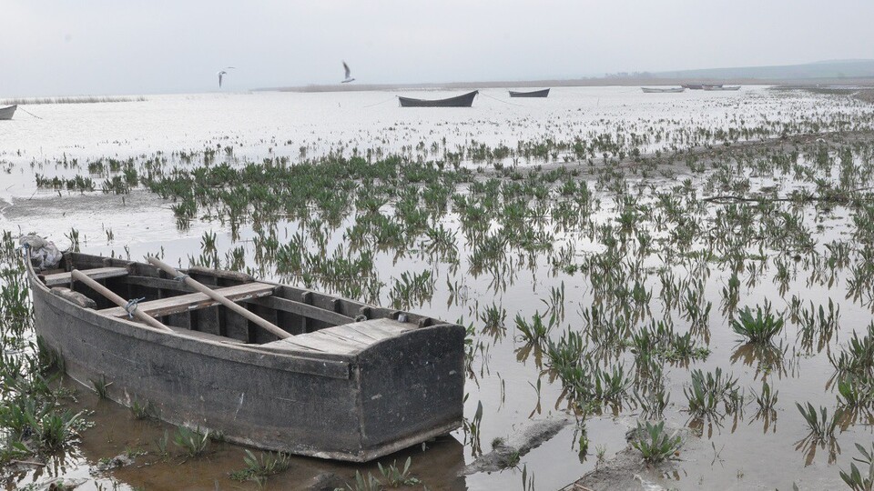 Manyas Kuş Cenneti için tehlike çanları çalıyor