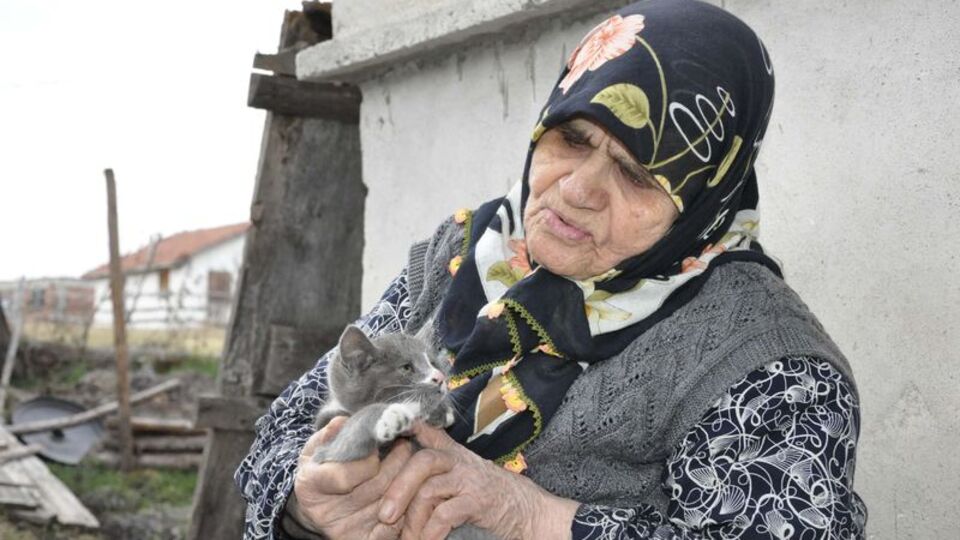 "Kediler aç kalır" diye köyden ayrılmıyor