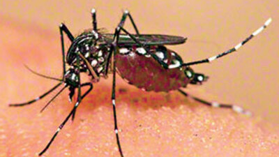 Zika'da korkutan gelişme!