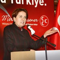 Akşener harekete geçti!