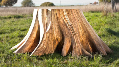 O sadece bir kütük değil!