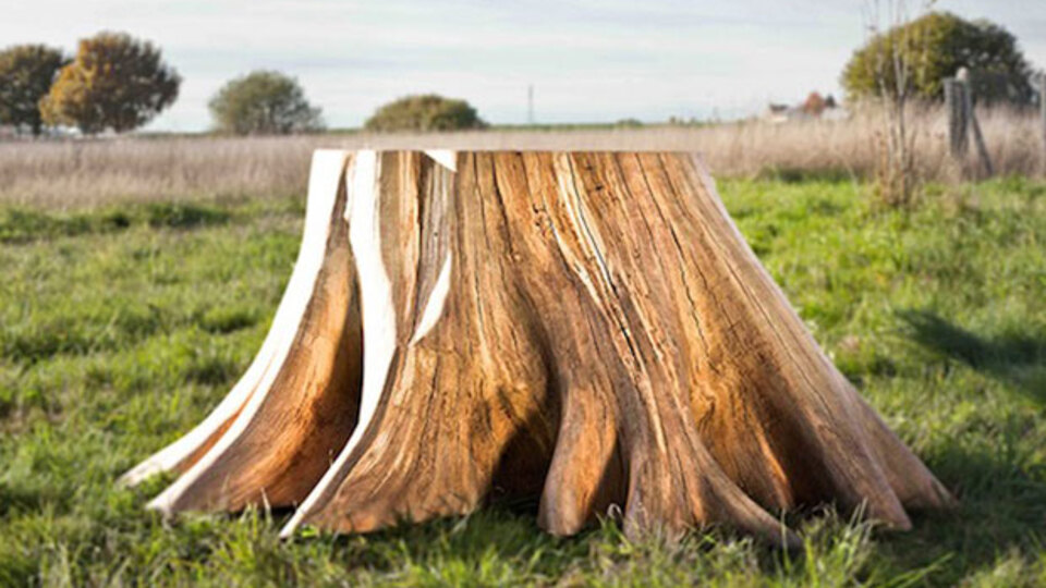 O sadece bir kütük değil!