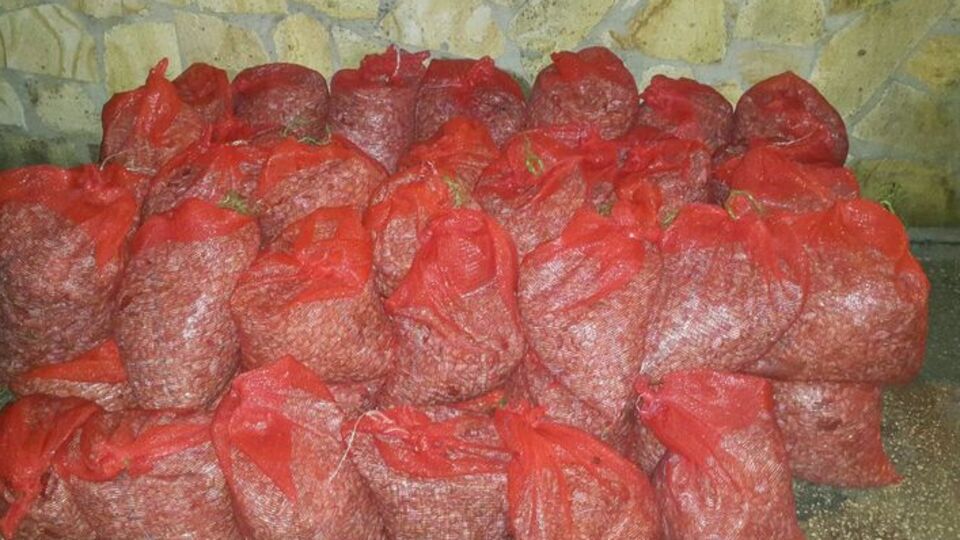 Edirne´de 700 kilo kaçak midye ele geçirildi