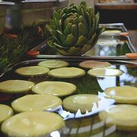 Kanı temizliyor, kalbi güçlendiriyor!