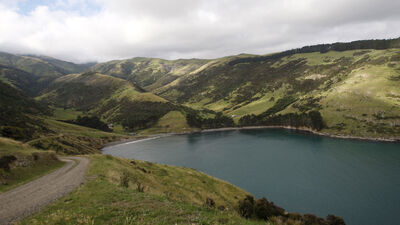 788 bin TL'ye çalışan bulamadı!