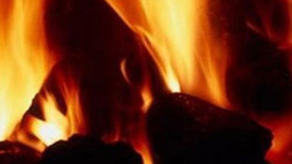 Ordu'da soba can aldı!