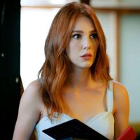 Elçin Sangu'ya büyük şok!