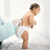 O sinekler kısırlaştırılacak!