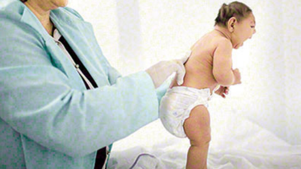 O sinekler kısırlaştırılacak!