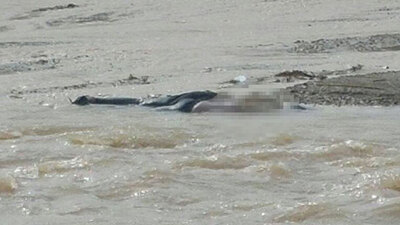 Derede kadın cesedi bulundu!