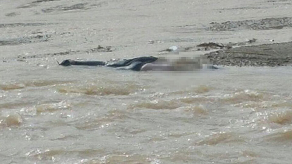 Derede kadın cesedi bulundu!