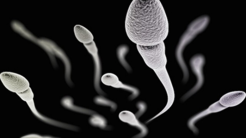 Yapay spermle ürettiler!