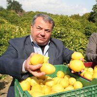 Fiyatı hiç bu kadar yükselmemişti