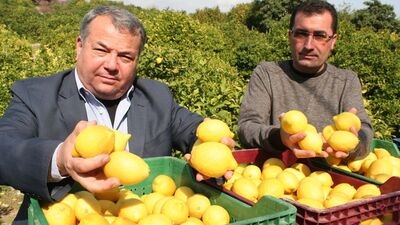 Fiyatı hiç bu kadar yükselmemişti
