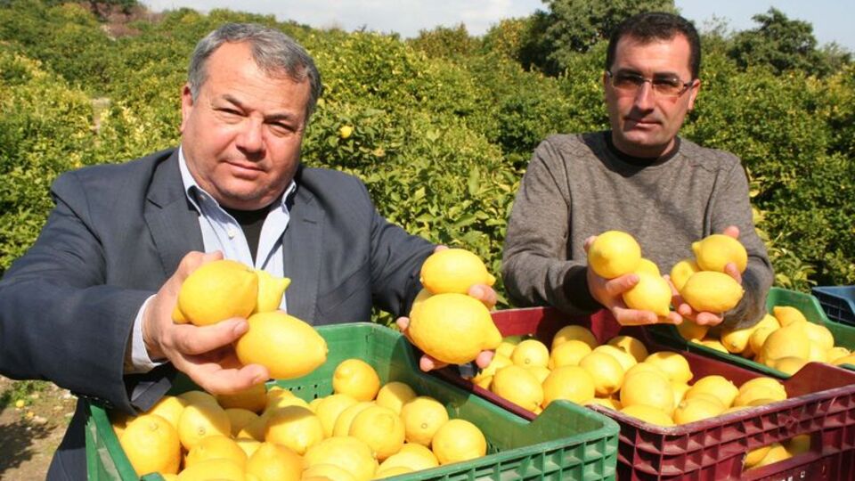 Fiyatı hiç bu kadar yükselmemişti