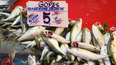 Kilosu 5 TL'ye düştü