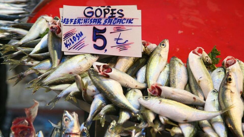 Kilosu 5 TL'ye düştü