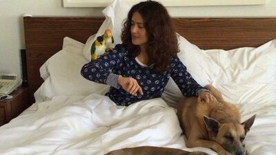 Köpeği Mozart'ı öldürdüler