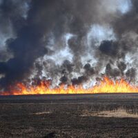 Kuş Cenneti'ndeki yangın söndü