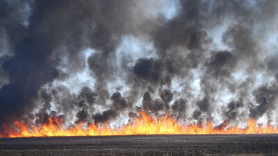 Kuş Cenneti'ndeki yangın söndü