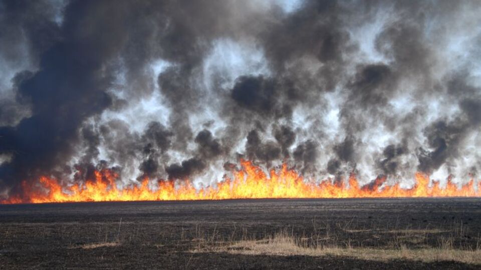 Kuş Cenneti'ndeki yangın söndü