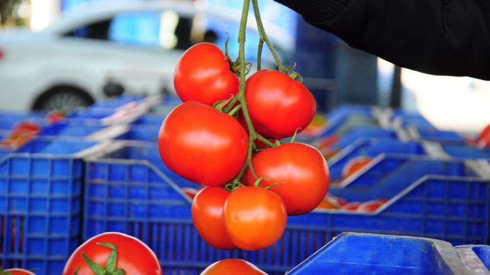 Fiyatları 10 kuruşa kadar düştü!