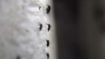 Zika değil, KKKA için önlem alınmalı!