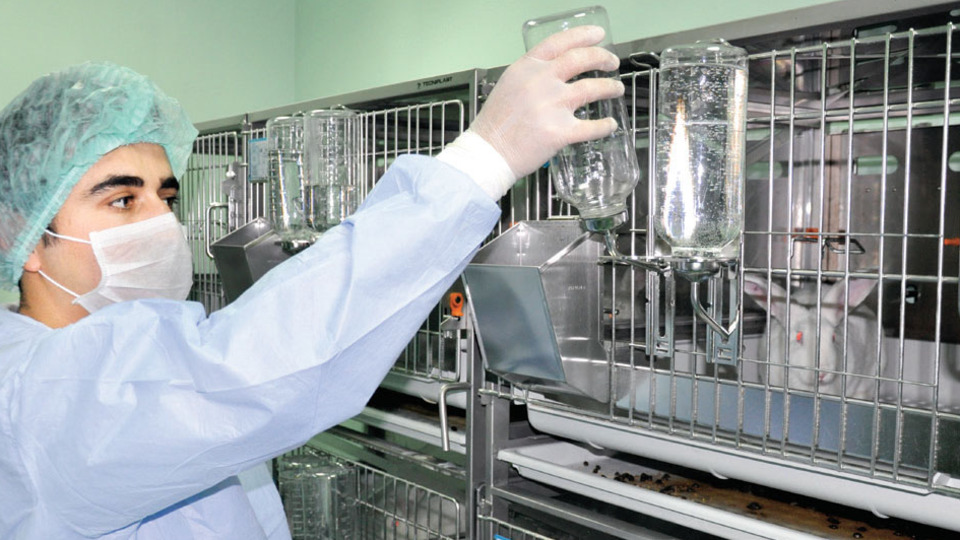 150 tavşan, 50 bin fare ve 4 bin sıçan üretmeyi planlıyoruz!