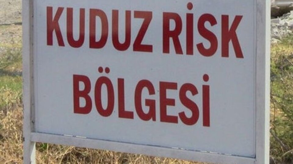 Mersin'de kuduz paniği!