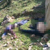 Ormanlık alanda 2 kişi ölü bulundu!