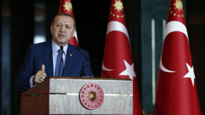 Erdoğan'a ikinci 'milli' danışman