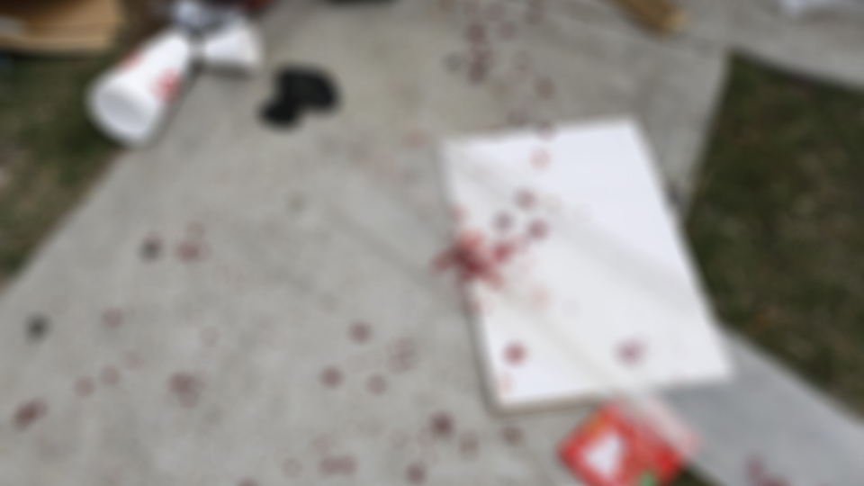 Ev partisinde katliam!