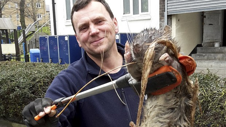 Çocukların her gün oynadığı yerde yakalandı!