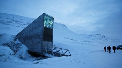 Burada ölmek yasak!