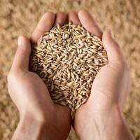 Yüksek lifli beslenmeye ihtiyacımız var