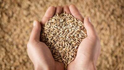 Yüksek lifli beslenmeye ihtiyacımız var