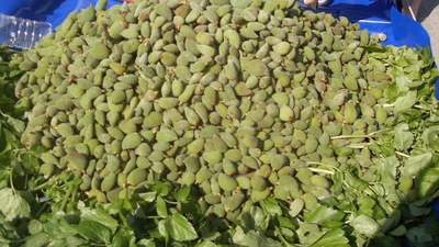 Fiyatı cep yakıyor!