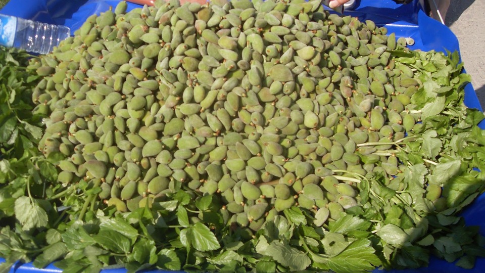 Fiyatı cep yakıyor!