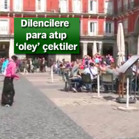 Taraftar değil terbiyesizler topluluğu!