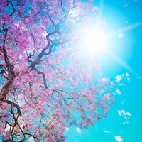 Nevruz bayramı ne zaman?