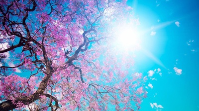 Nevruz bayramı ne zaman?