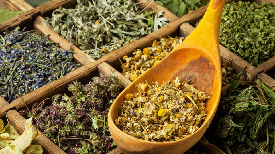 Aktara 'aganigi' düzenlemesi