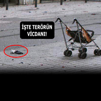 Bir bebek arabası, iki güvercin!